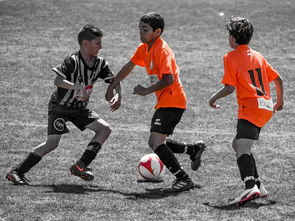 华体会登入-NBA球员训练营活动，nba球员训练营活动安排